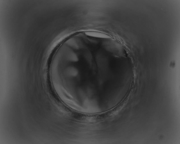 X0000095540295200801041315