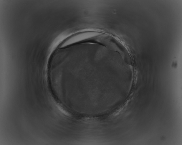 X0000095540296200801041315