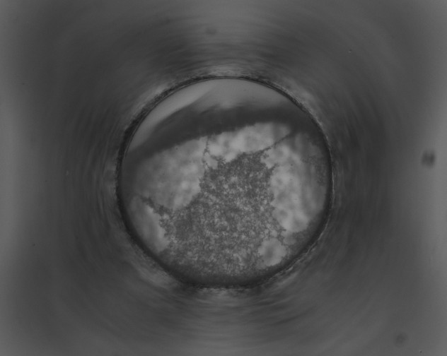 X0000095540297200801041315