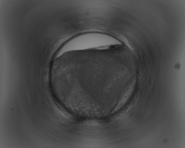 X0000095540299200801041315