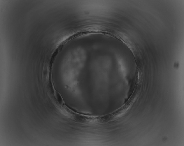 X0000095540301200801041315