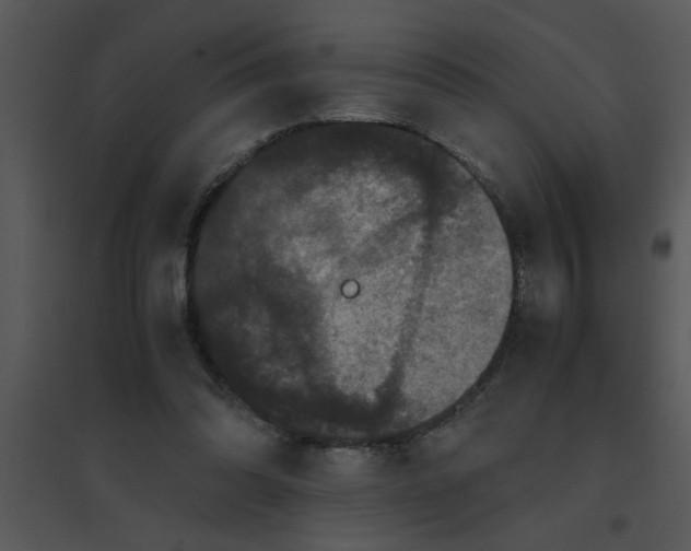 X0000095540302200801041315