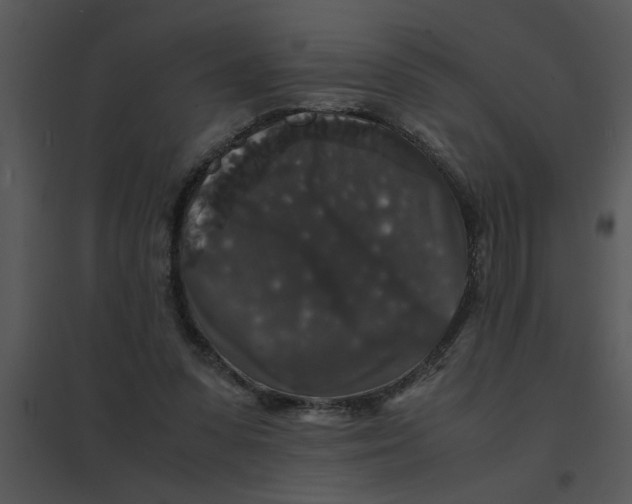 X0000095540303200801041315