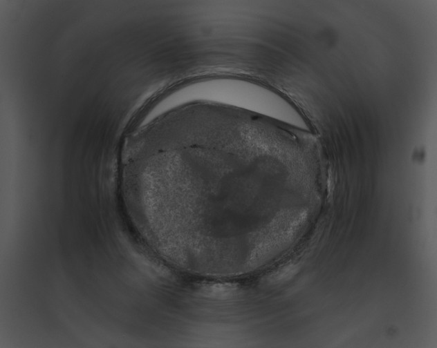 X0000095540304200801041315