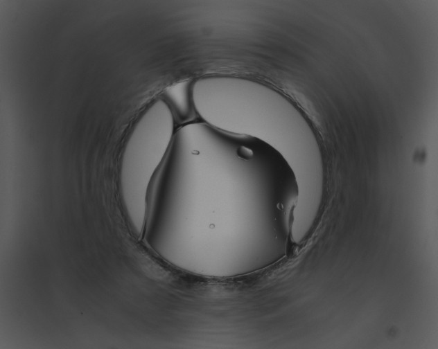 X0000095540305200801041315