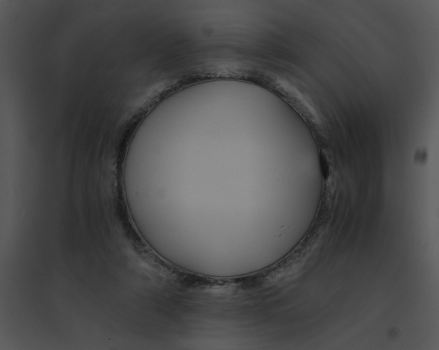 X0000095540306200801041315