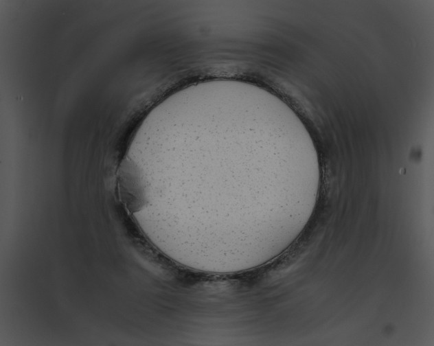 X0000095540307200801041315