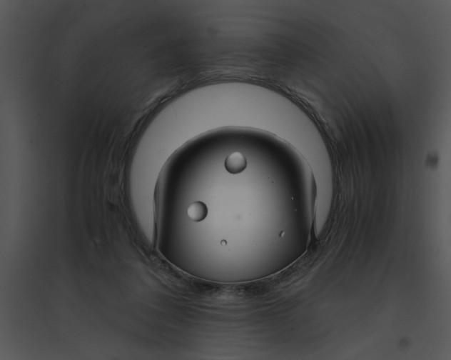 X0000095540308200801041315