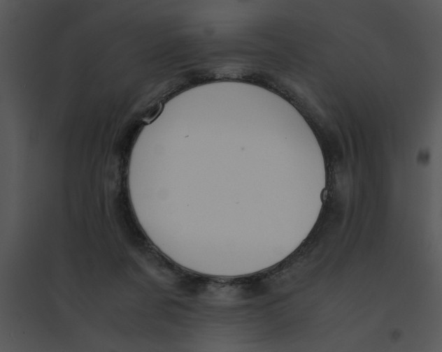 X0000095540311200801041315