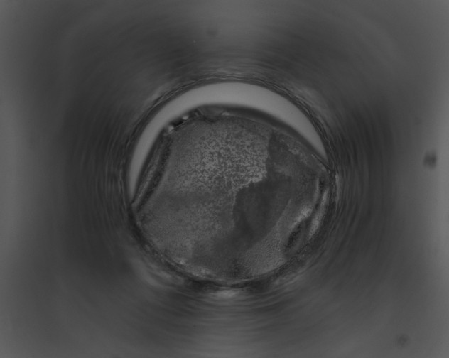 X0000095540312200801041315