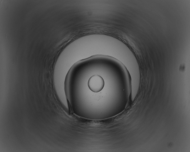 X0000095540313200801041315