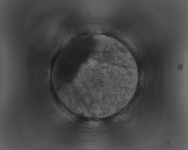 X0000095540314200801041315