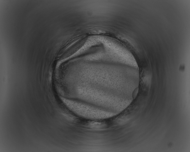 X0000095540315200801041315