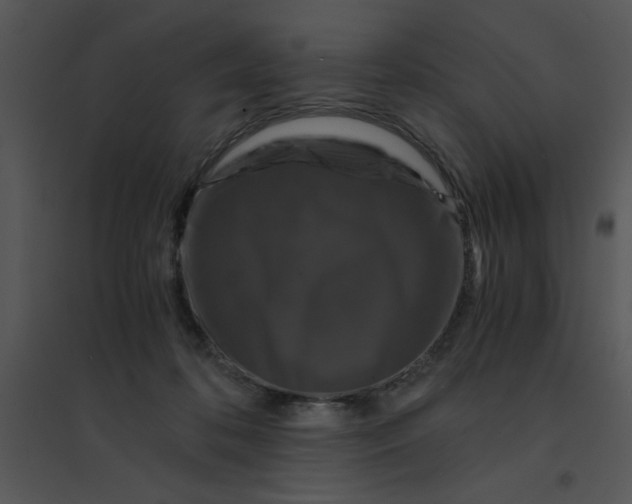 X0000095540316200801041315