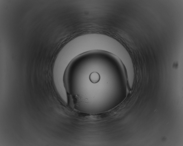 X0000095540320200801041315