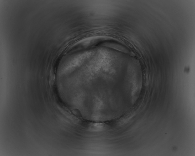 X0000095540324200801041315