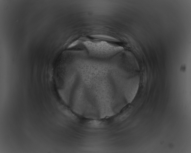 X0000095540326200801041315