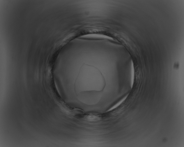 X0000095540327200801041315