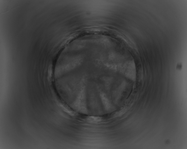 X0000095540328200801041315