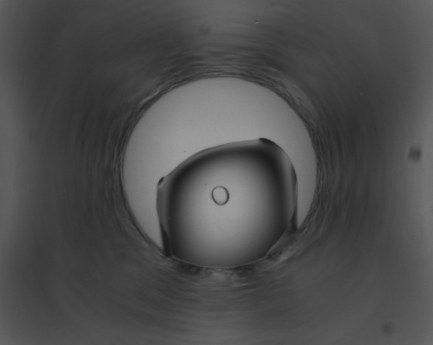 X0000095540329200801041315