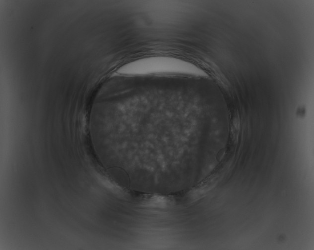 X0000095540330200801041315