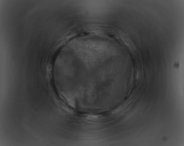 X0000095540332200801041315