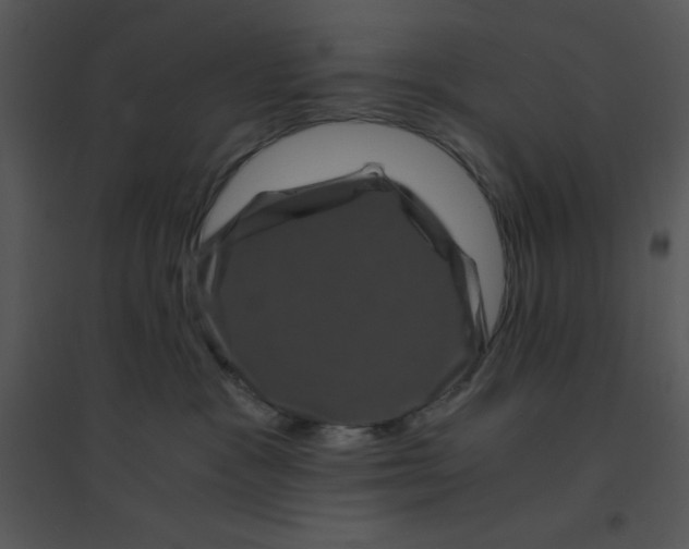 X0000095540333200801041315