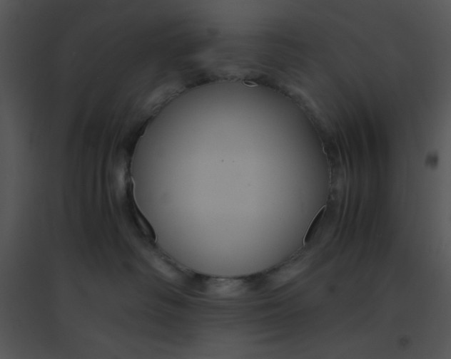 X0000095540334200801041315