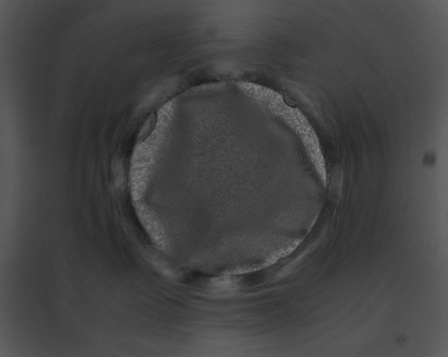 X0000095540335200801041315