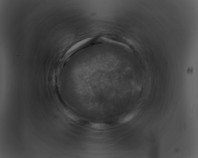 X0000095540336200801041315