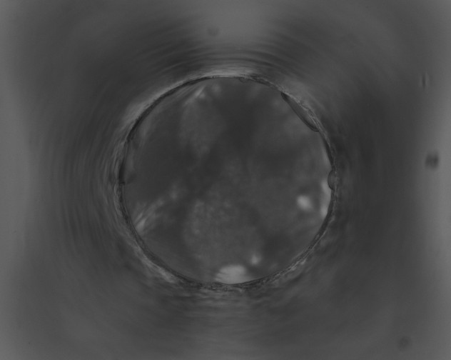 X0000095540337200801041314