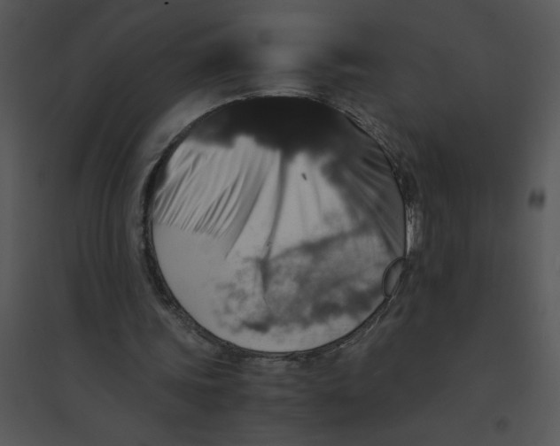 X0000095540339200801041314