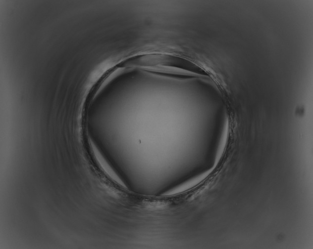 X0000095540340200801041314