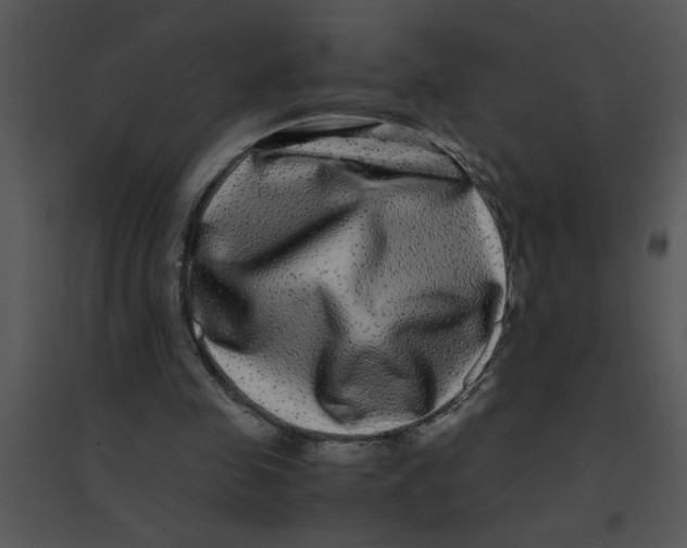 X0000095540341200801041314