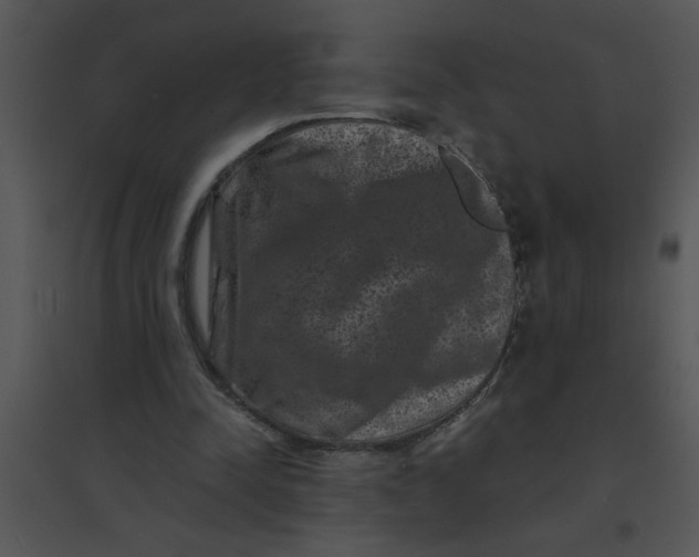 X0000095540342200801041314