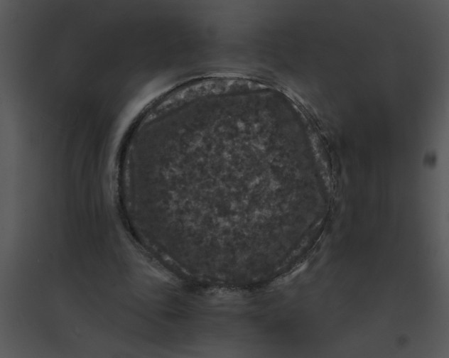 X0000095540343200801041314