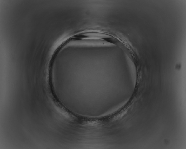 X0000095540344200801041314