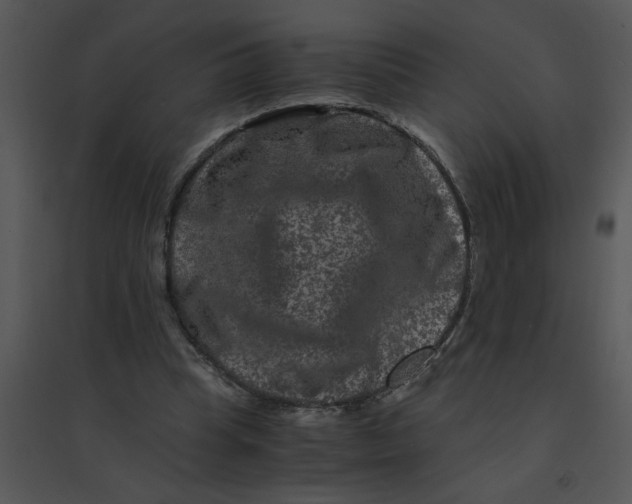 X0000095540345200801041314