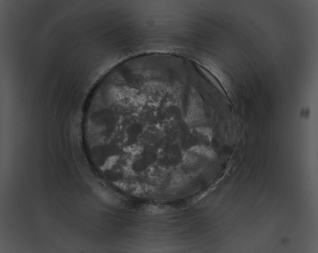 X0000095540346200801041314