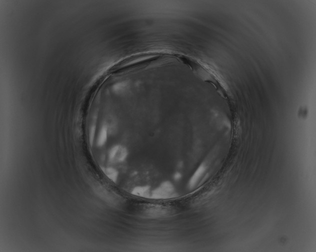 X0000095540347200801041314