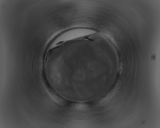 X0000095540348200801041314