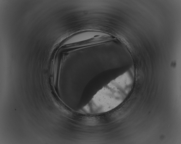 X0000095540349200801041314