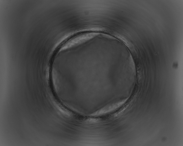 X0000095540350200801041314