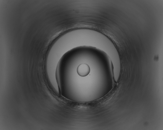 X0000095540352200801041314