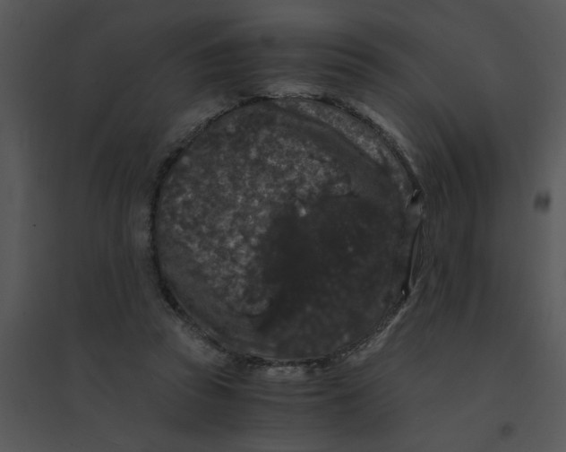 X0000095540353200801041314