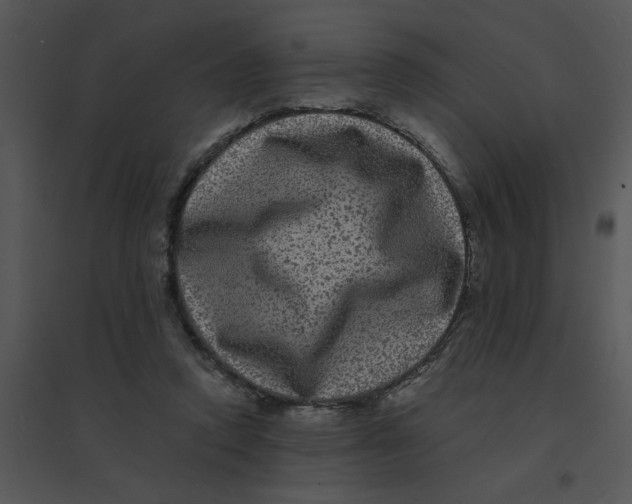 X0000095540354200801041314