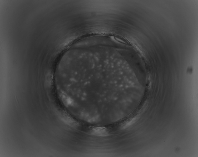 X0000095540355200801041314