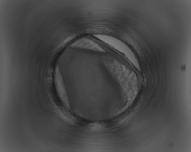 X0000095540356200801041314