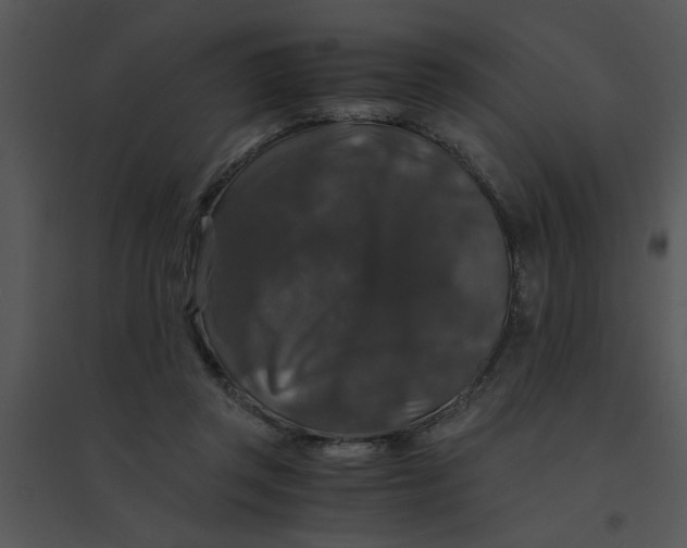 X0000095540357200801041314