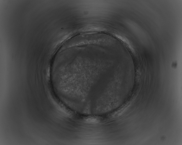 X0000095540358200801041314